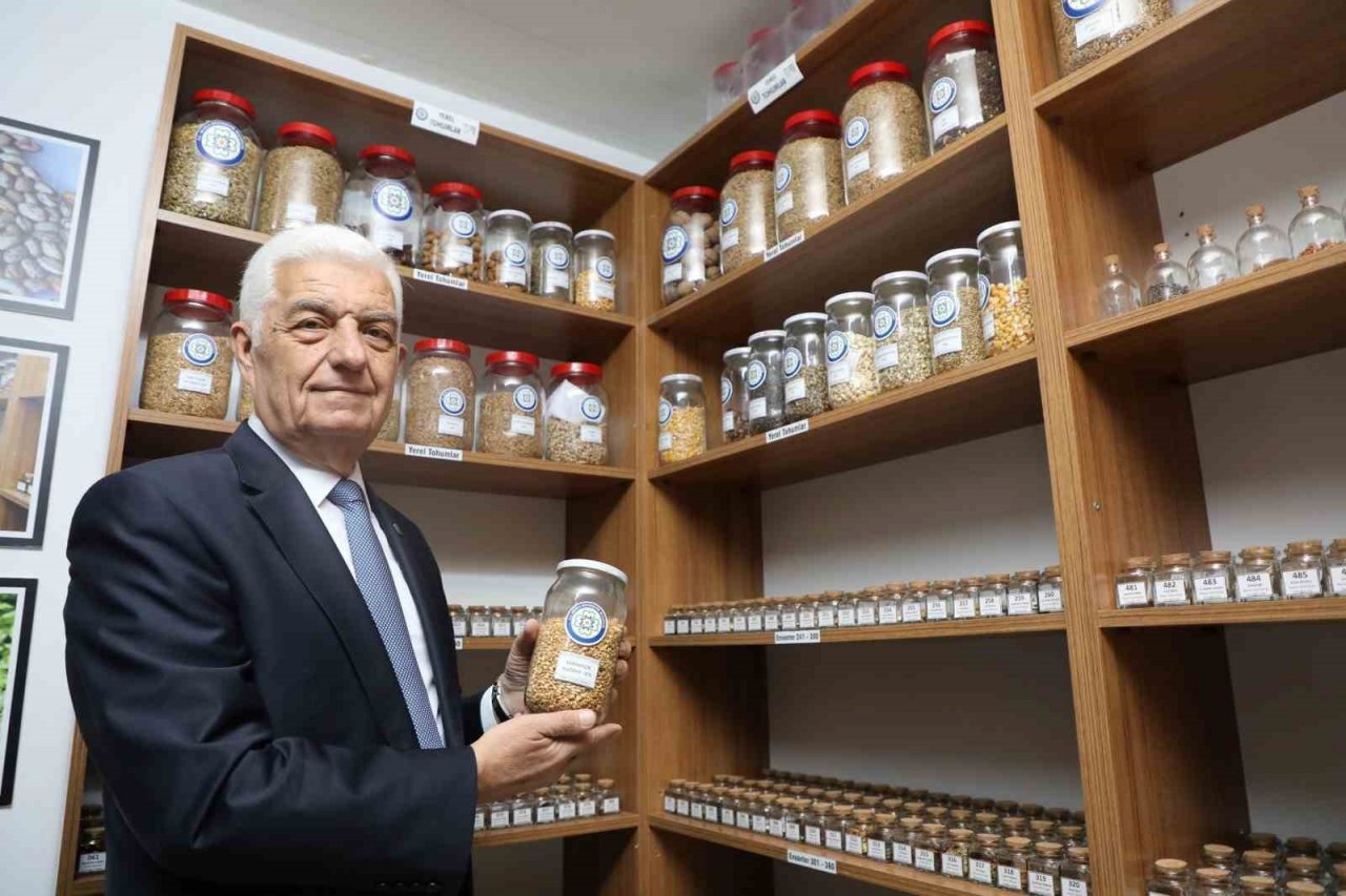 18 milyon ata tohumu dağıtıldı