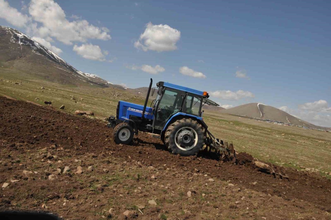 Bulanık’ta etkili olan yağışlar çiftçiye umut oldu