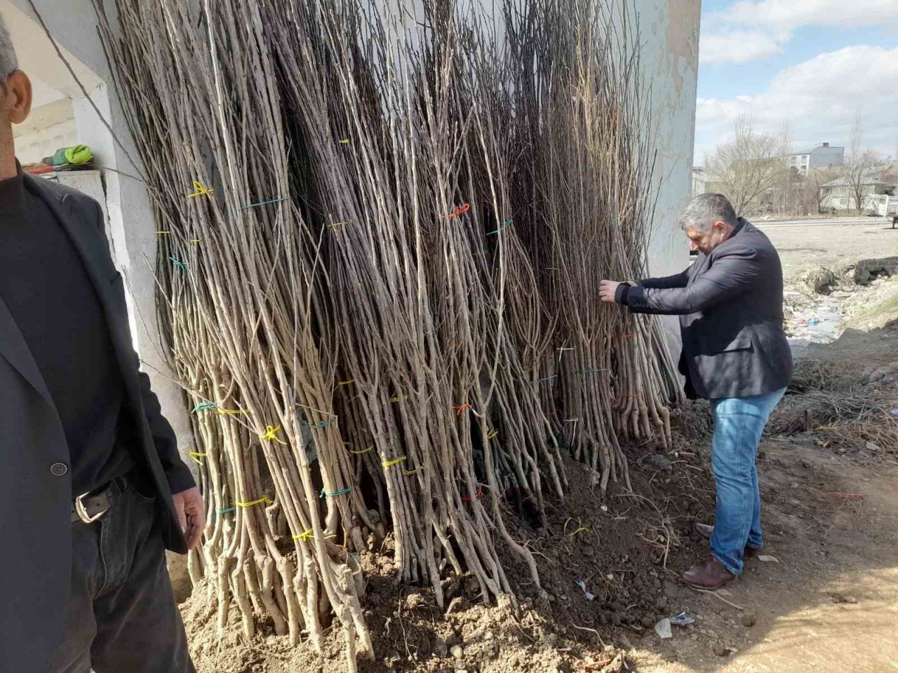 Malazgirt’te fidan satışları başladı