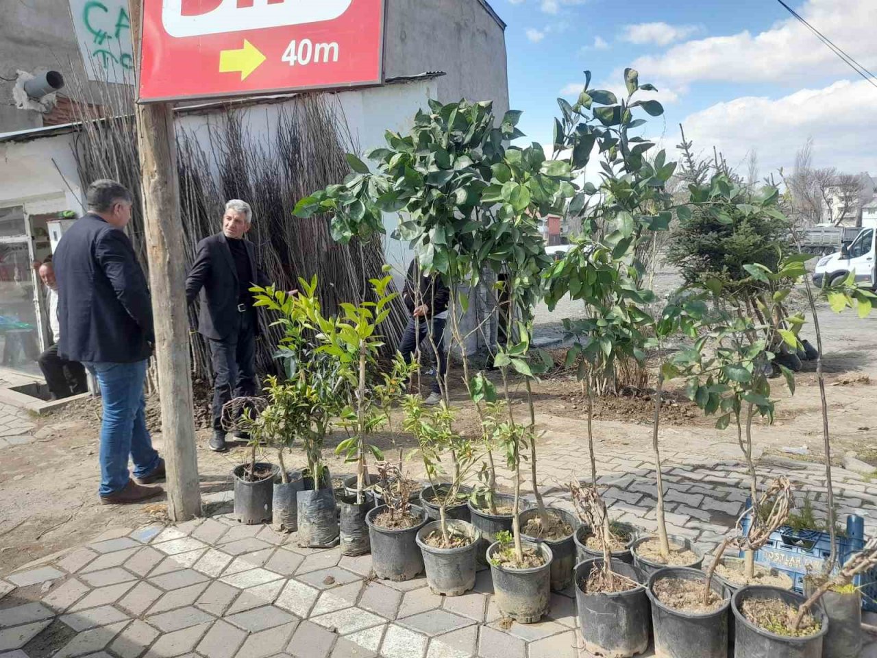 Malazgirt’te fidan satışları başladı