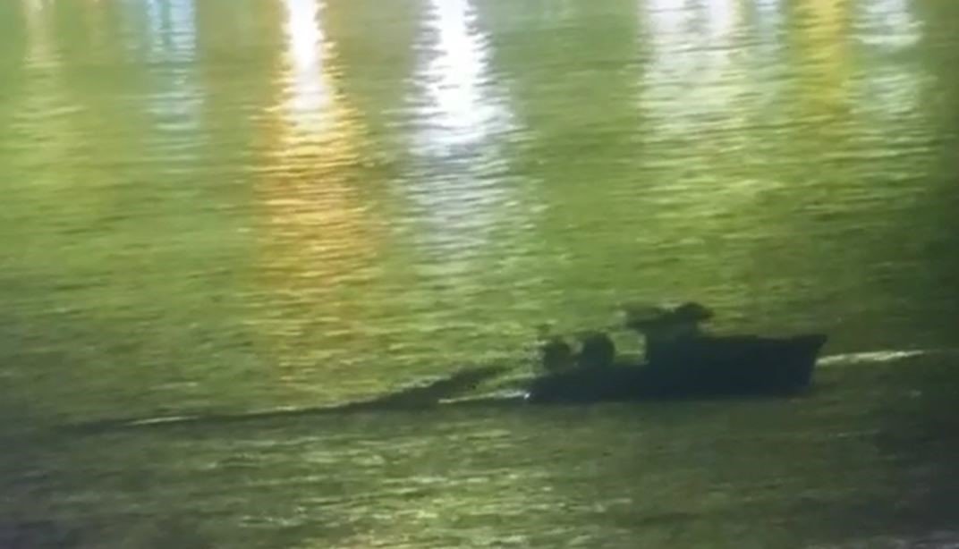 Sarayburnu önlerinde kaçak avcılık yapanlara 231 bin 898 TL para cezası kesildi