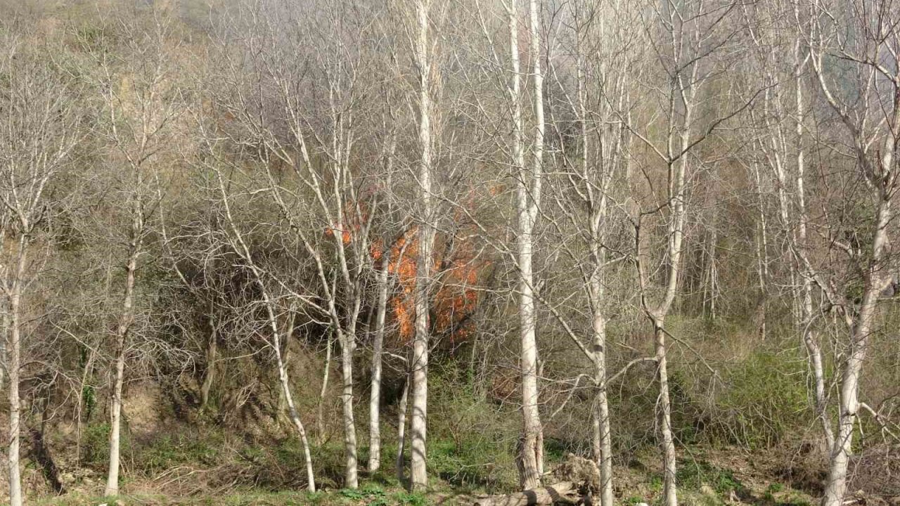 Otluk alanda çıkan yangın ekipleri harekete geçirdi