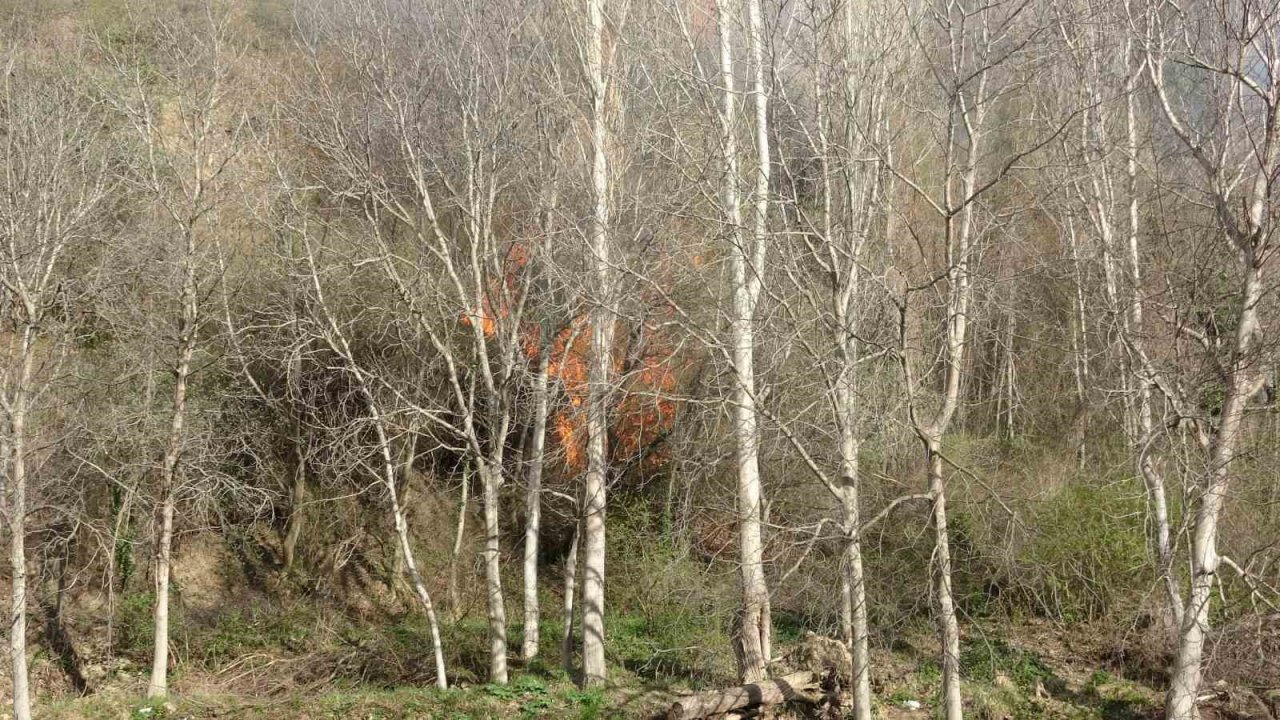 Otluk alanda çıkan yangın ekipleri harekete geçirdi