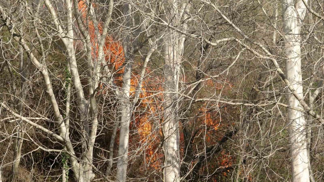 Otluk alanda çıkan yangın ekipleri harekete geçirdi