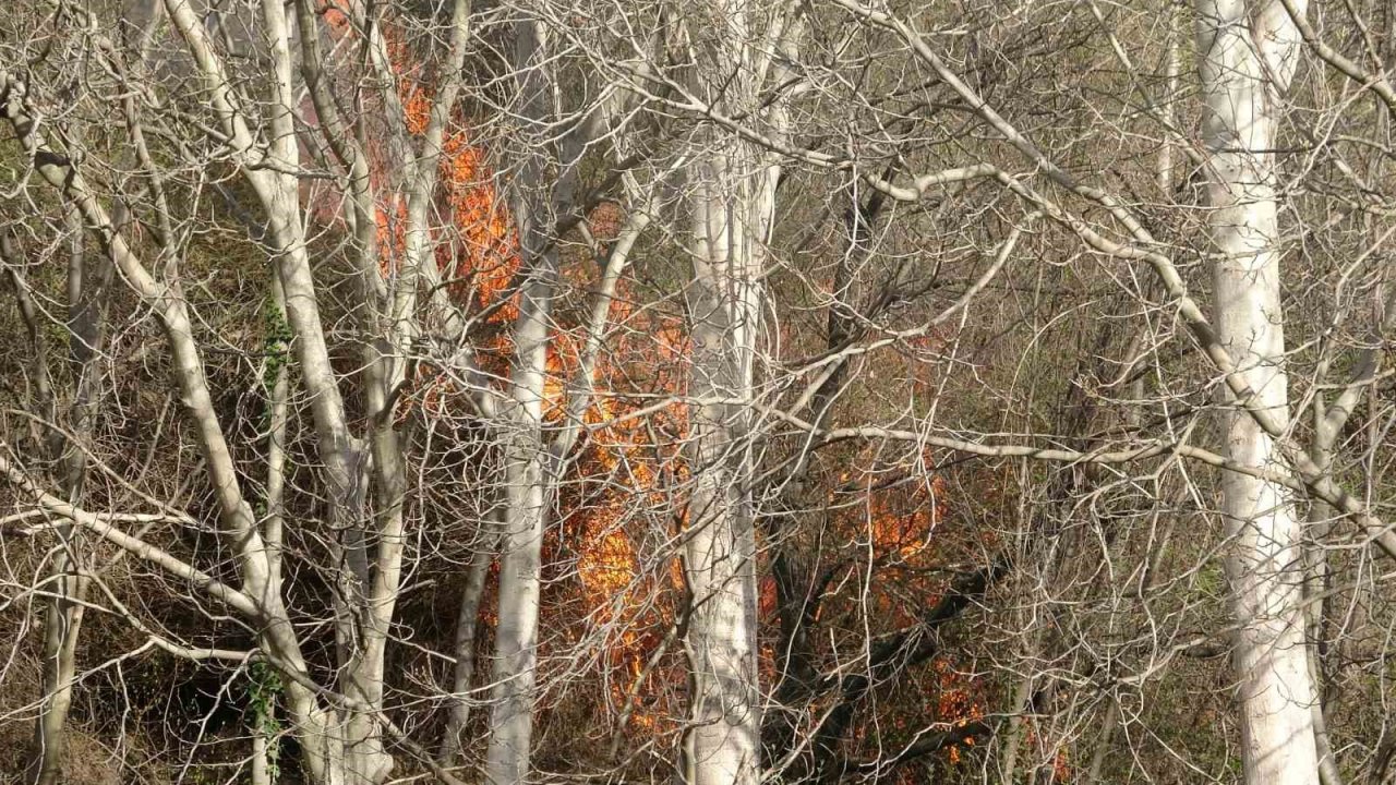 Otluk alanda çıkan yangın ekipleri harekete geçirdi