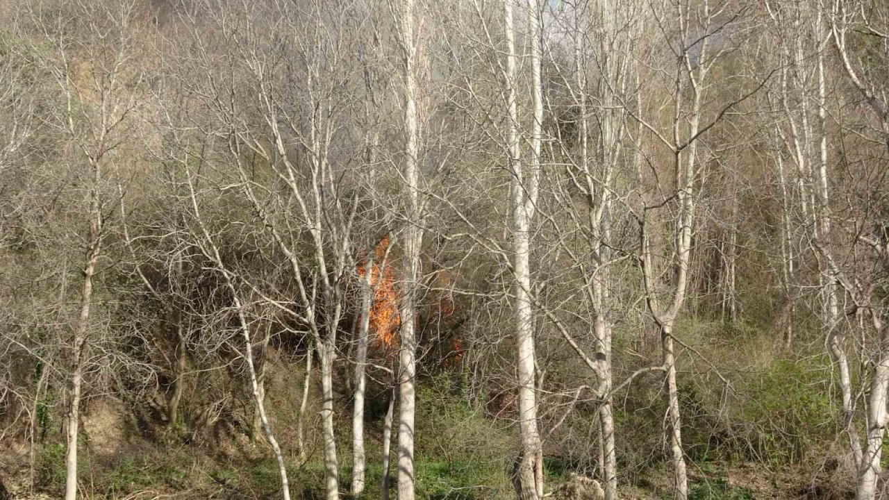 Otluk alanda çıkan yangın ekipleri harekete geçirdi