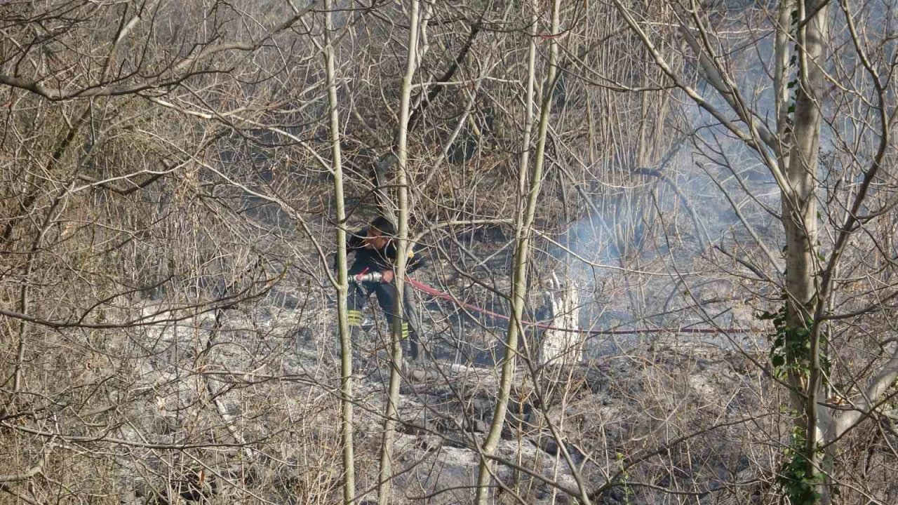 Otluk alanda çıkan yangın ekipleri harekete geçirdi