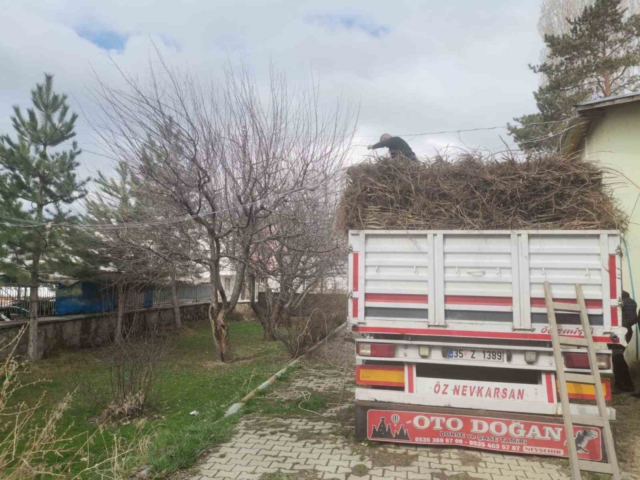 Muradiye’de 17 bin 810 adet meyve fidanı dağıtıldı