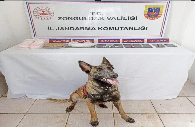 Zonguldak’ta uyuşturucu operasyonunda 1 kişi tutuklandı