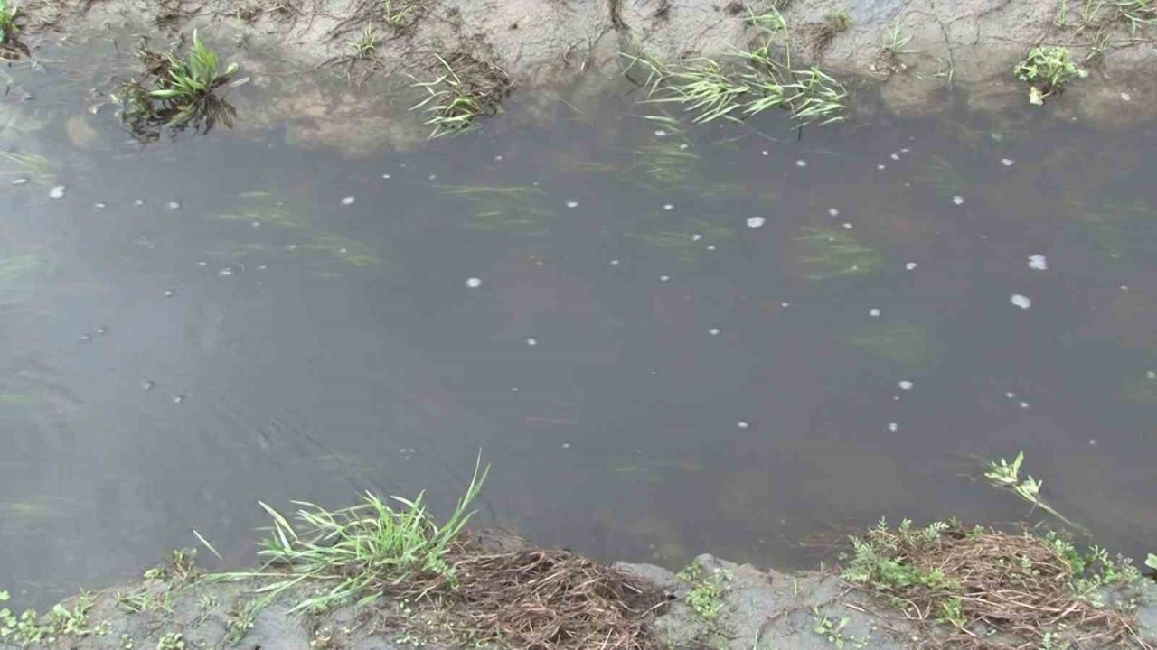 Sultangazi’de İSKİ’nin patlattığı borudaki lağım suyu günlerdir Alibey Barajı’na akıyor