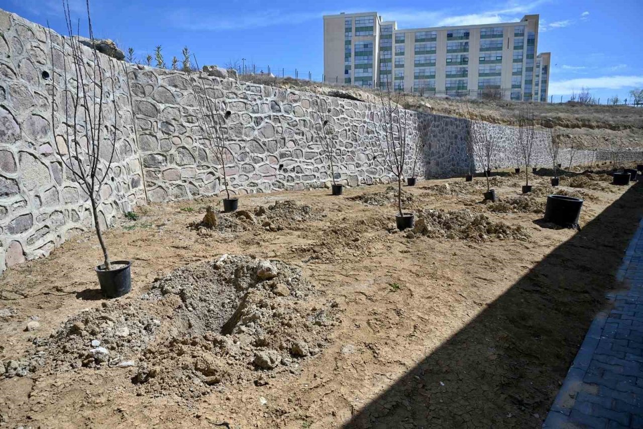 Mesai arkadaşlarından kızı vefat eden öğretim üyesine vefa: Kampüste meyve bahçesi oluşturdular