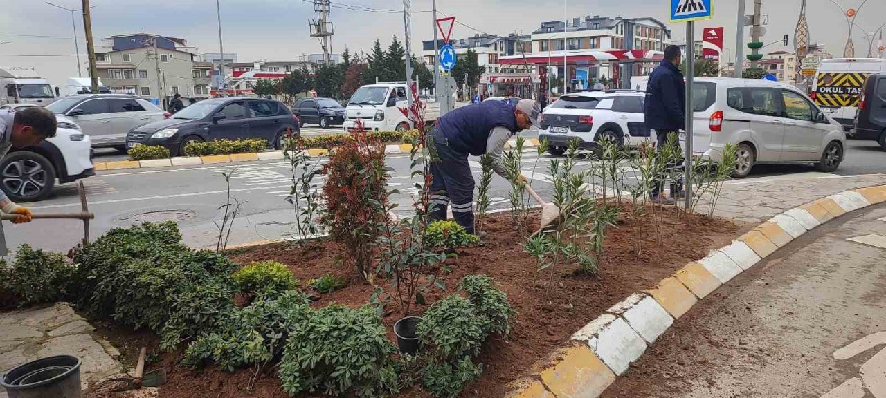 Darıca, daha yeşil bir yaza hazırlanıyor