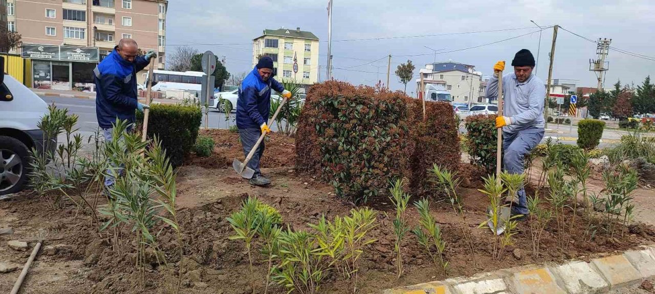 Darıca, daha yeşil bir yaza hazırlanıyor