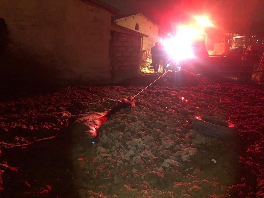 Gübre yığınında mahsur kalan at itfaiye ekiplerince kurtarıldı