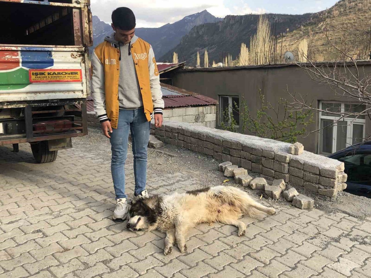 Vefalı köpek askerden dönen sahibine sarıldı