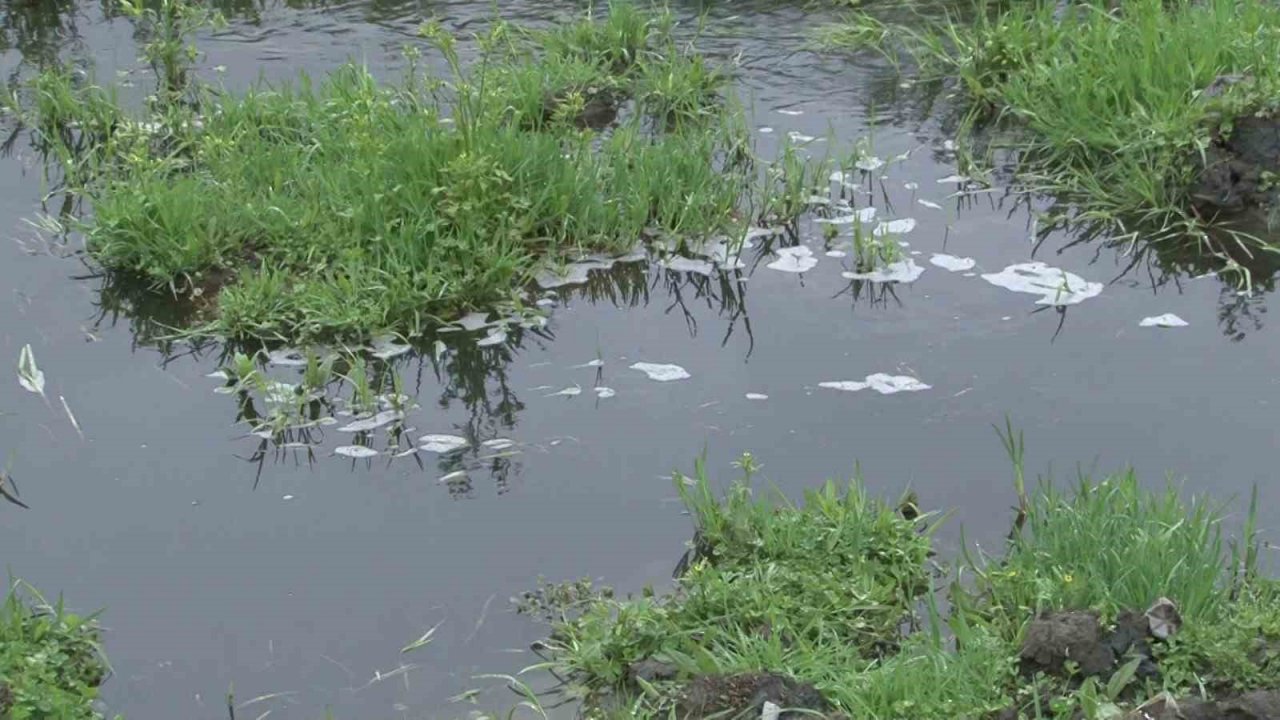 Sultangazi’de İSKİ’nin patlattığı borudaki lağım suyu günlerdir Alibey Barajı’na akıyor