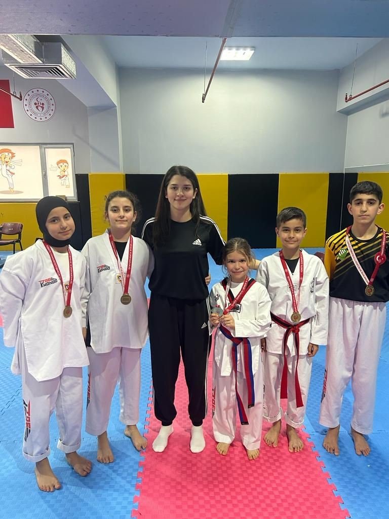 Tekvando şampiyonasına Altınova damgası