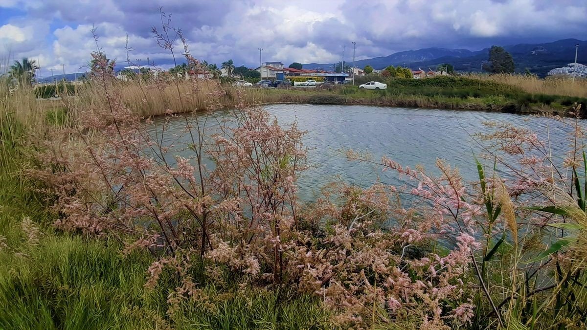 Kuşadası Kocagöl’de “tahribat” incelemesi