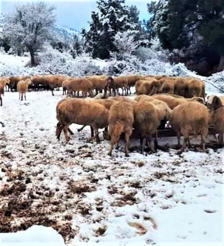 Denizli Nisan’ı karla karşıladı