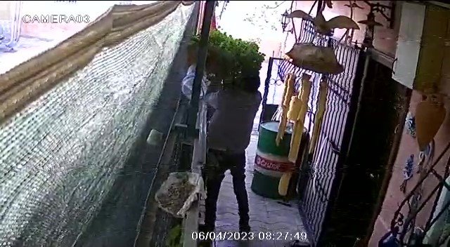 Ev sahibinin gözü önünde girdiği bahçeden saksıyı sırtlayıp götürdü