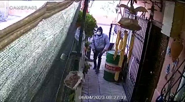 Ev sahibinin gözü önünde girdiği bahçeden saksıyı sırtlayıp götürdü