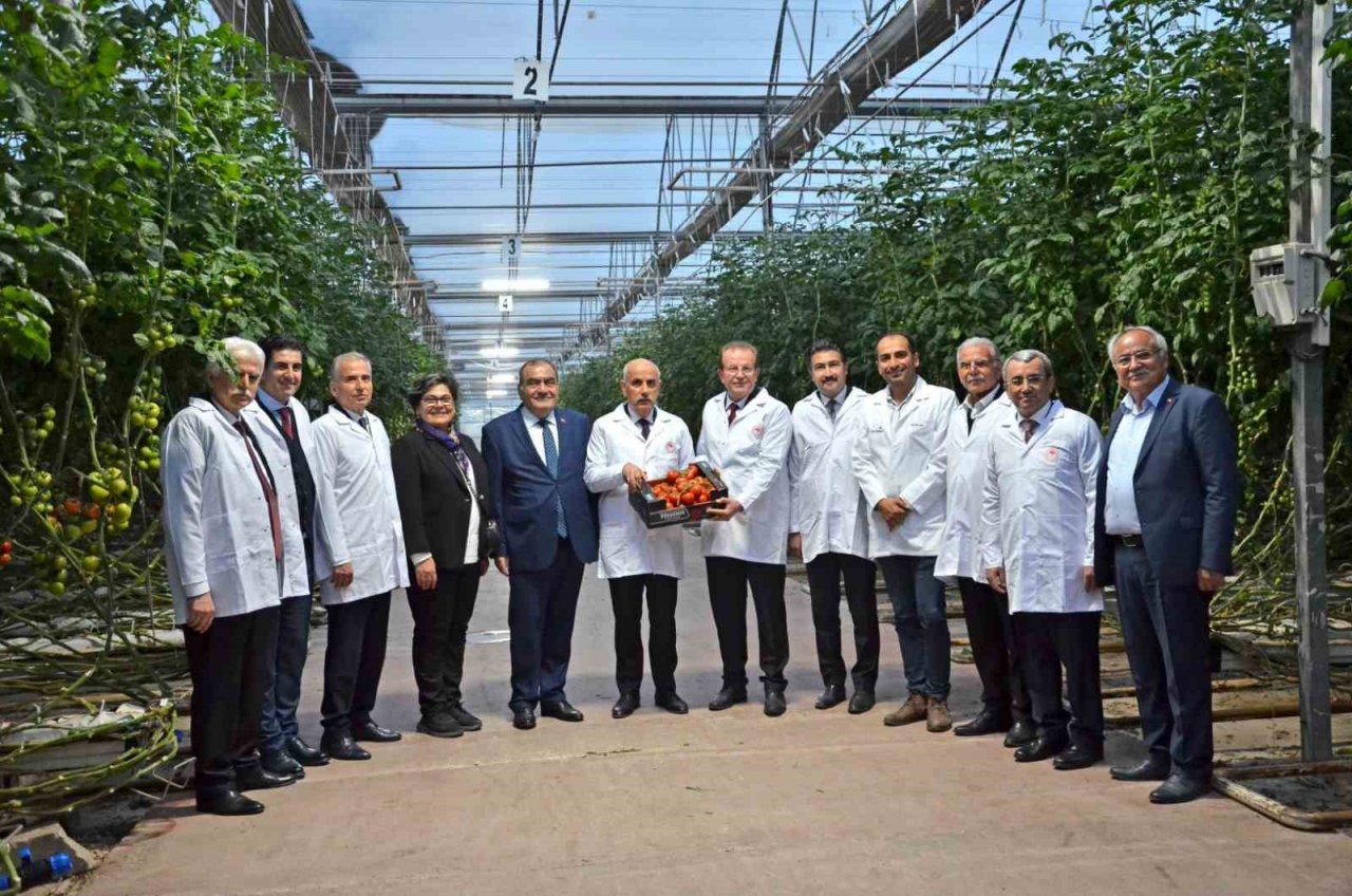 Bakan Kirişci, Denizli’nin çilek ve domates seralarını inceledi