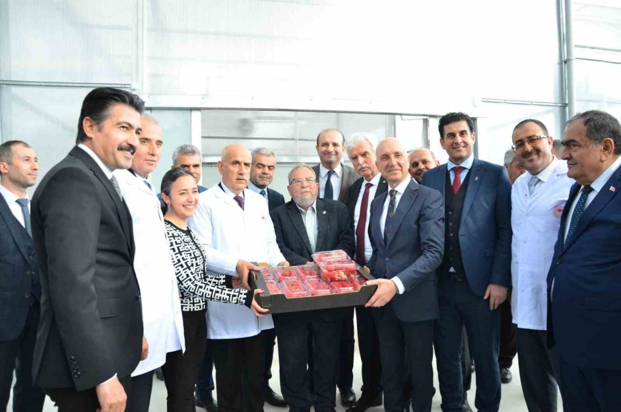 Bakan Kirişci, Denizli’nin çilek ve domates seralarını inceledi