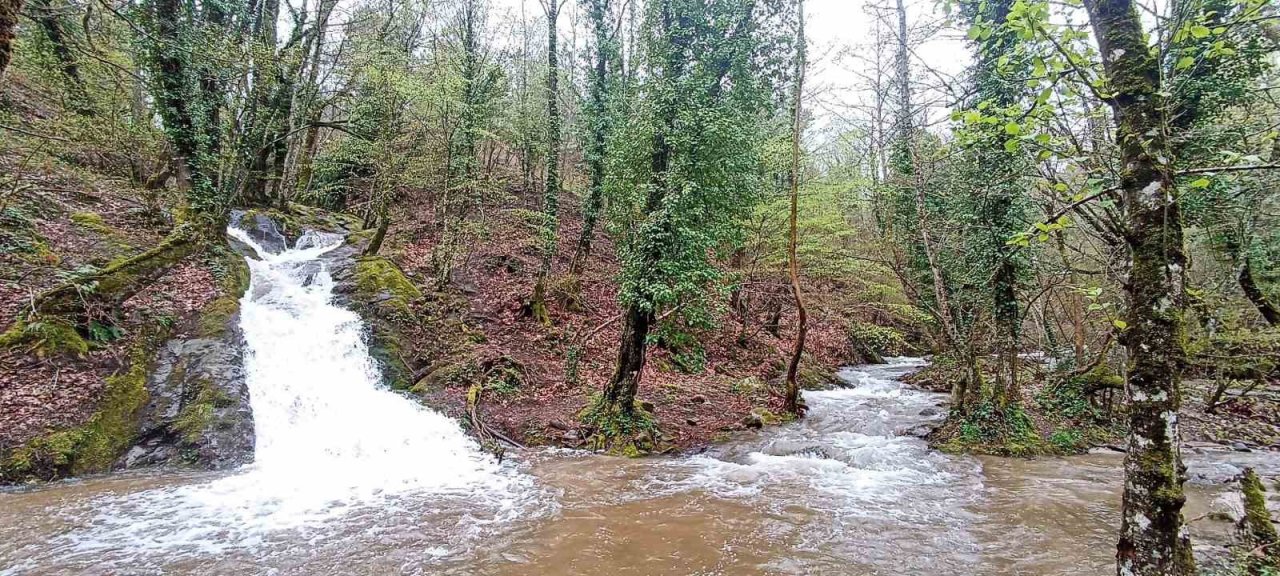 Kuraklık alarmı veren Kazdağları’ndan sevindiren görüntü