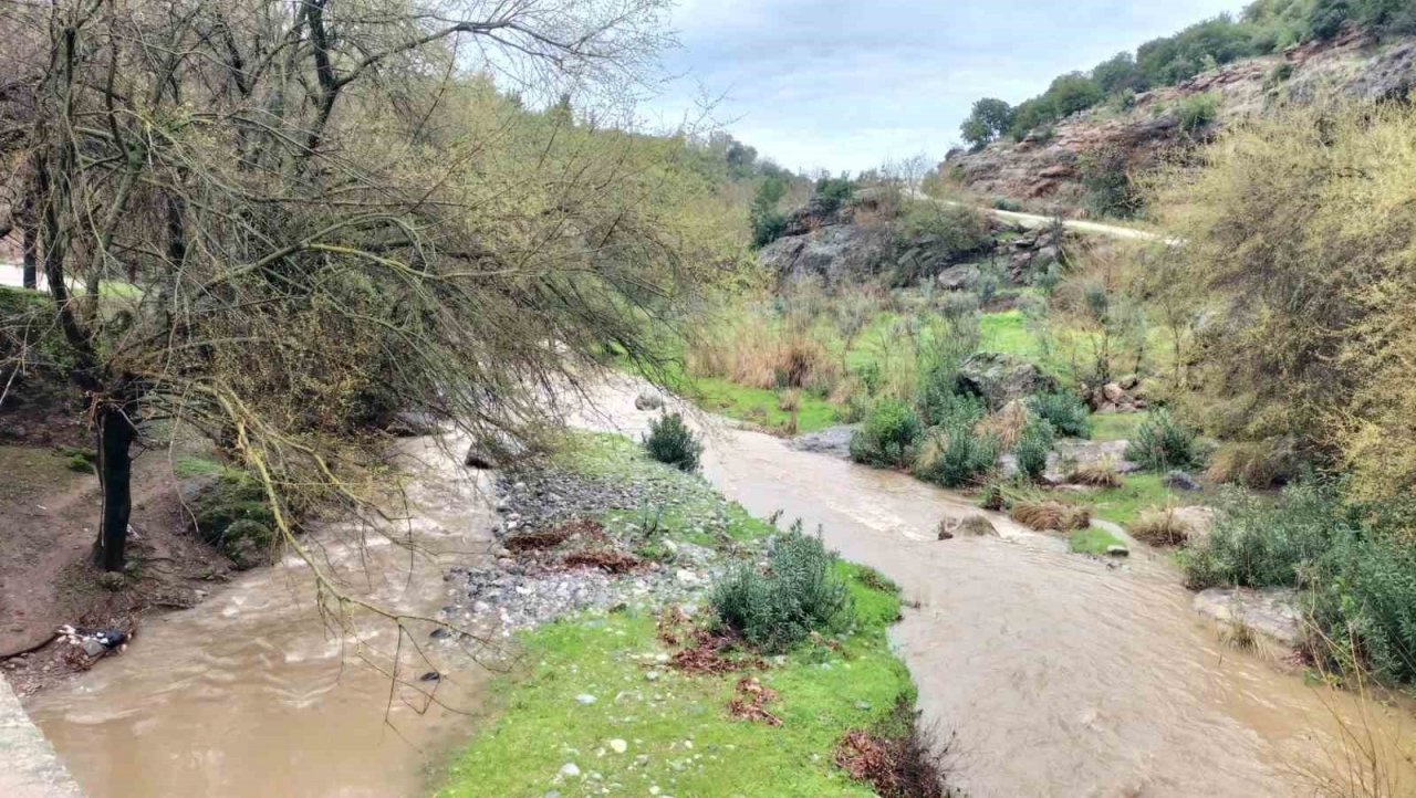 Osmaniye’de, Nisan yağmurları çiftçiye can suyu oldu