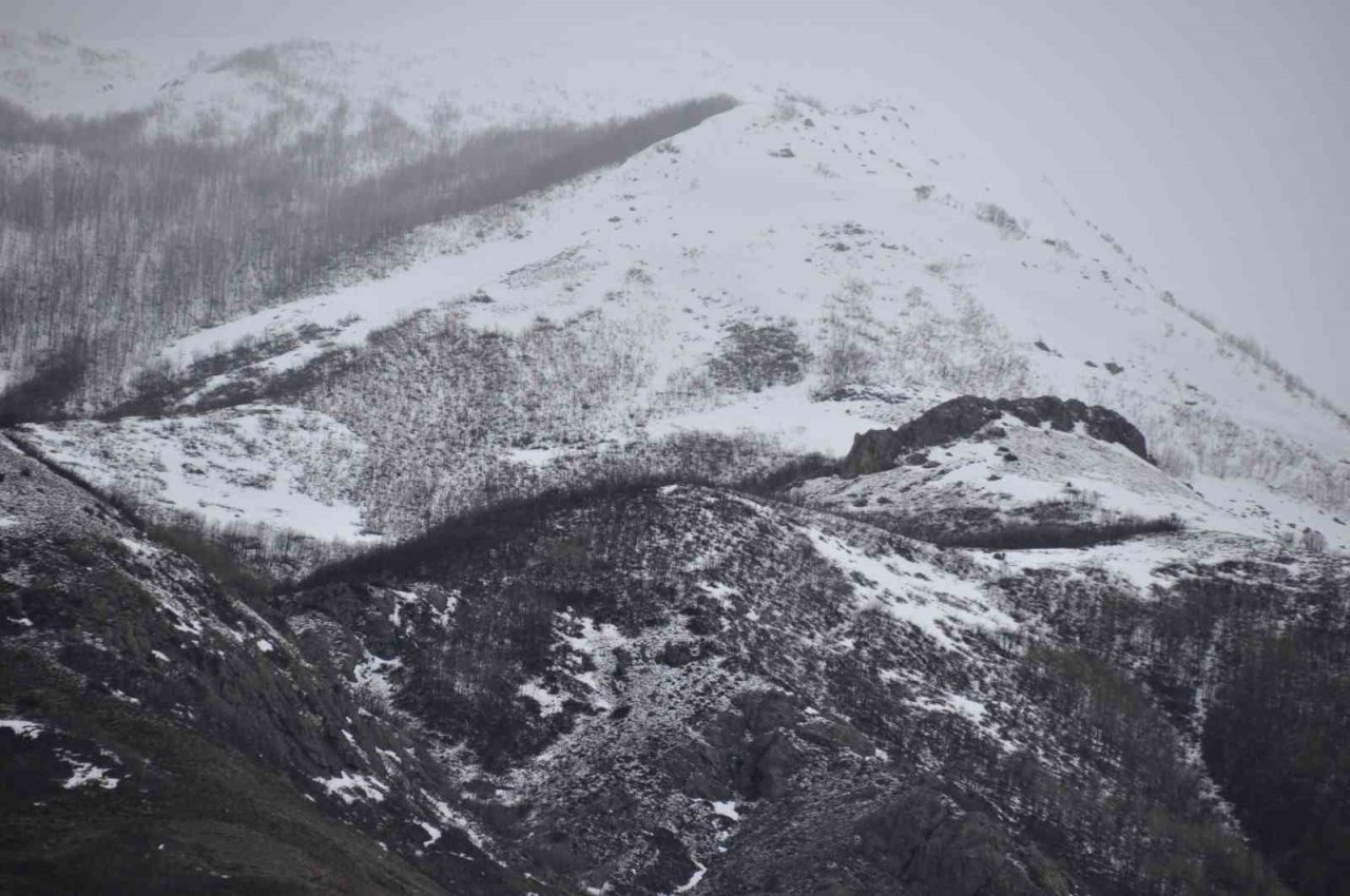 Tunceli’nin yüksek kesimleri beyaza büründü