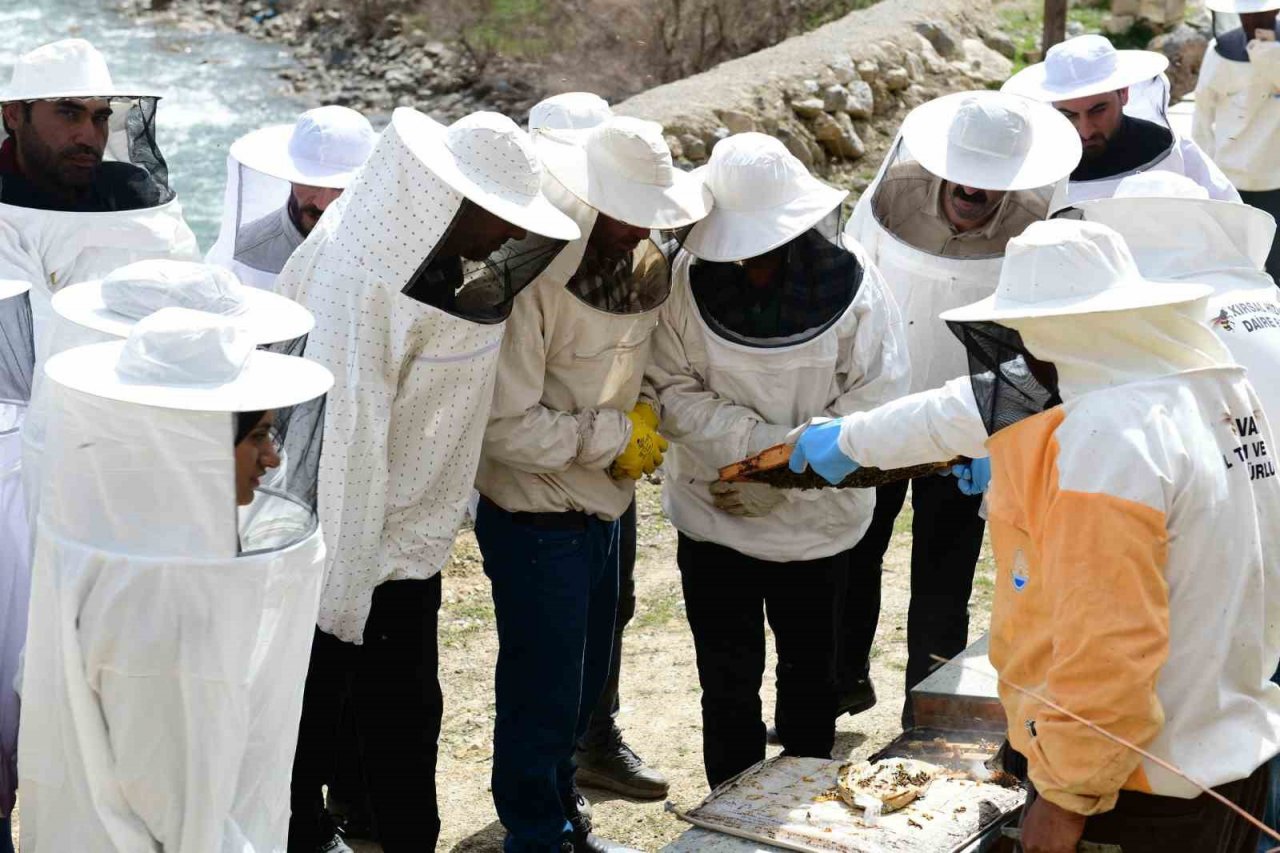Çatak’ta arıcılık kursuna yoğun ilgi