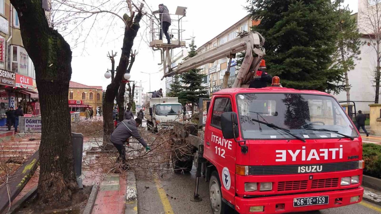 Yozgat Belediyesi ağaçlara bahar bakımı yapıyor