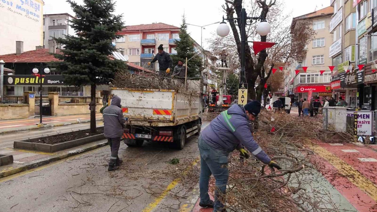 Yozgat Belediyesi ağaçlara bahar bakımı yapıyor