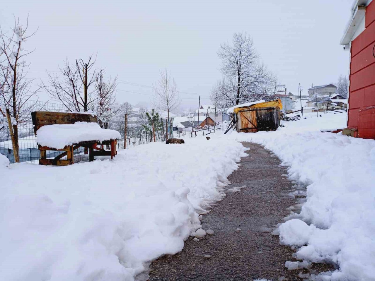 Artvin’in yüksek kesimlerinde kar yağışı Nisan ayında da etkili oluyor