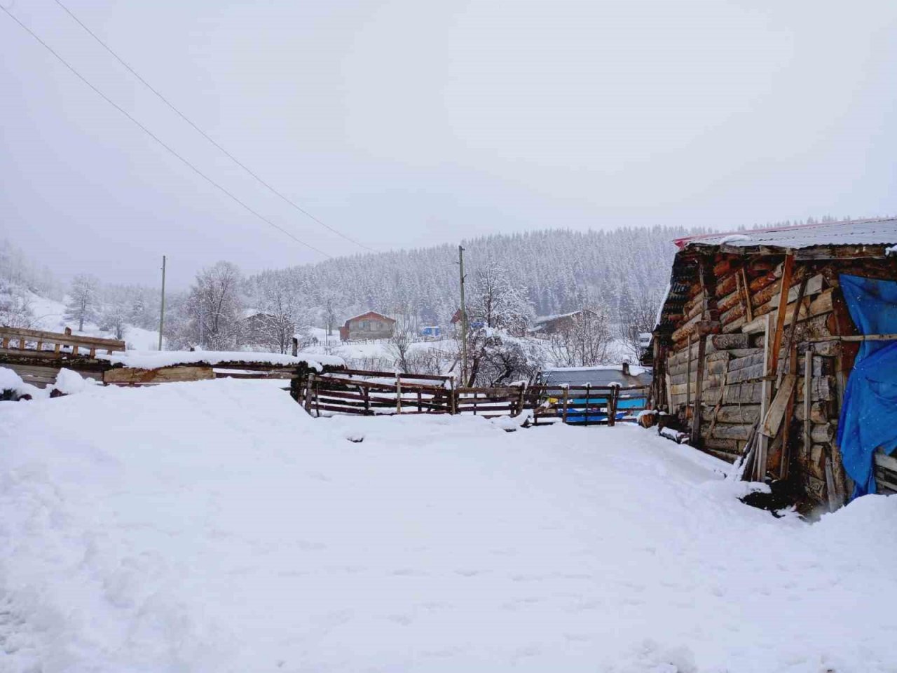 Artvin’in yüksek kesimlerinde kar yağışı Nisan ayında da etkili oluyor