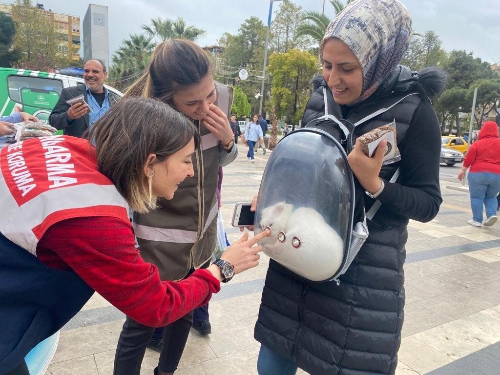 Jandarma ve polis sokak hayvanları için ücretsiz mama dağıttı