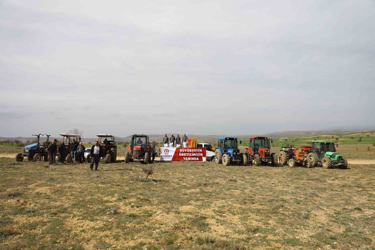 Denizli’nin 11 ilçesinde 12 bin dekar mera ıslah edildi