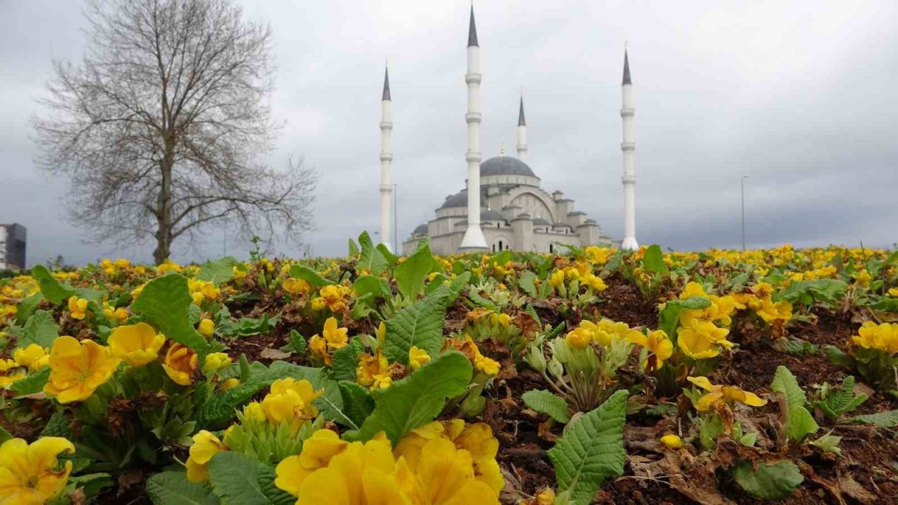 Tamamlandığında Doğu Karadeniz’in en büyük cami ve külliyesi olacak