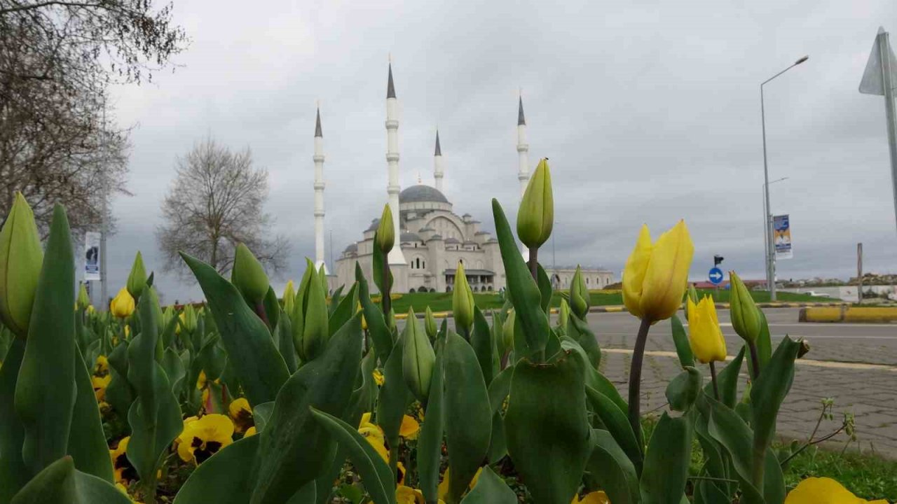 Tamamlandığında Doğu Karadeniz’in en büyük cami ve külliyesi olacak