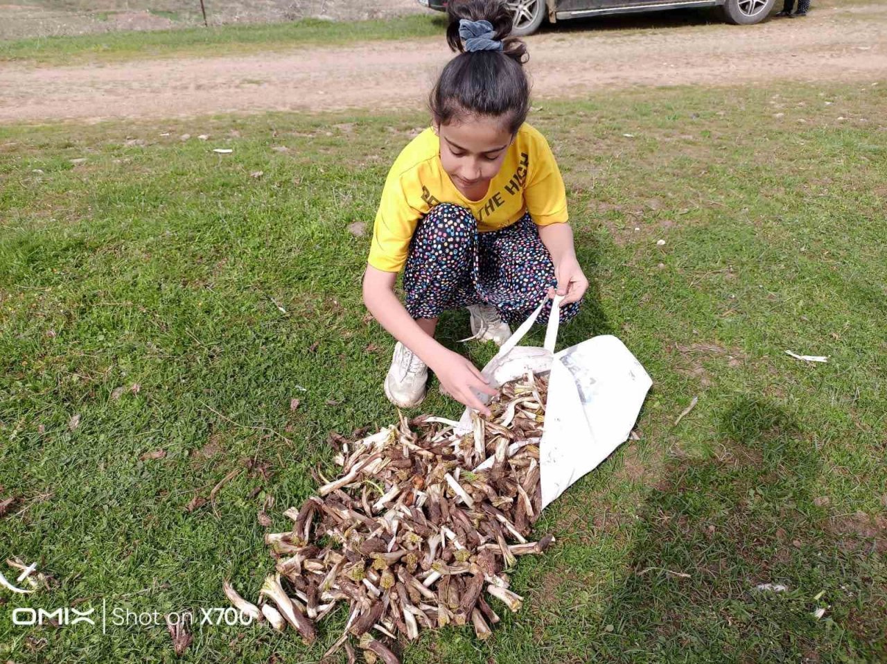 Batman’da ilkbaharın müjdecisi ’kenger bitkisi’ köylülerin geçim kaynağı oluyor