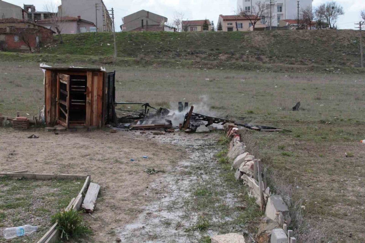 Yangın çıkan güvercin kulübesi küle döndü