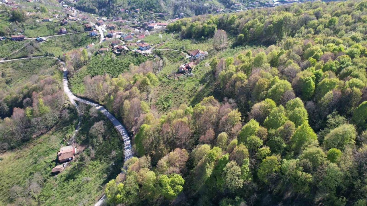 Zonguldak ormanlarında ilkbahar güzelliği havadan görüntülendi