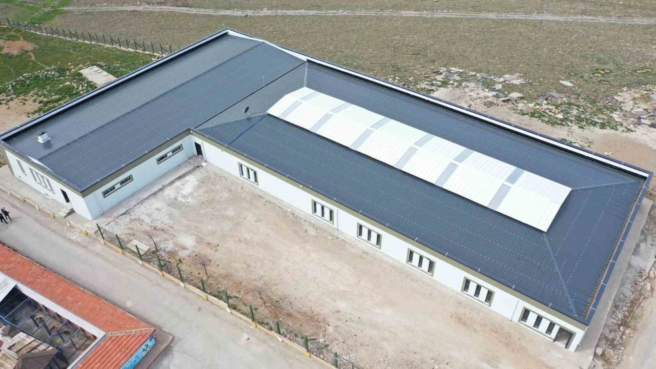 Büyükşehirden Yeni ve Modern Kedi Köpek Evi