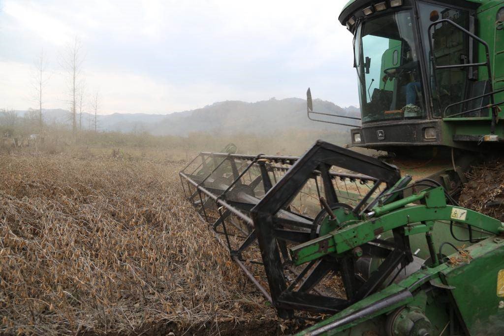 Ordu’da atıl araziler tarımla buluşuyor