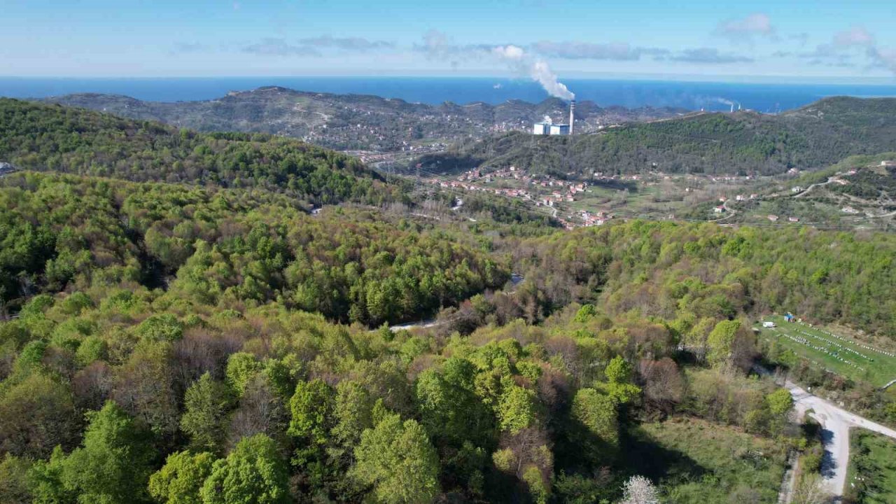 Zonguldak ormanlarında ilkbahar güzelliği havadan görüntülendi