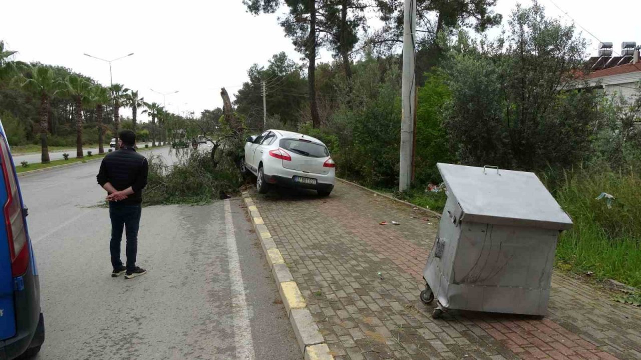 Manavgat’ta kontrolden çıkan otomobil ağaca çarptı: 1 yaralı
