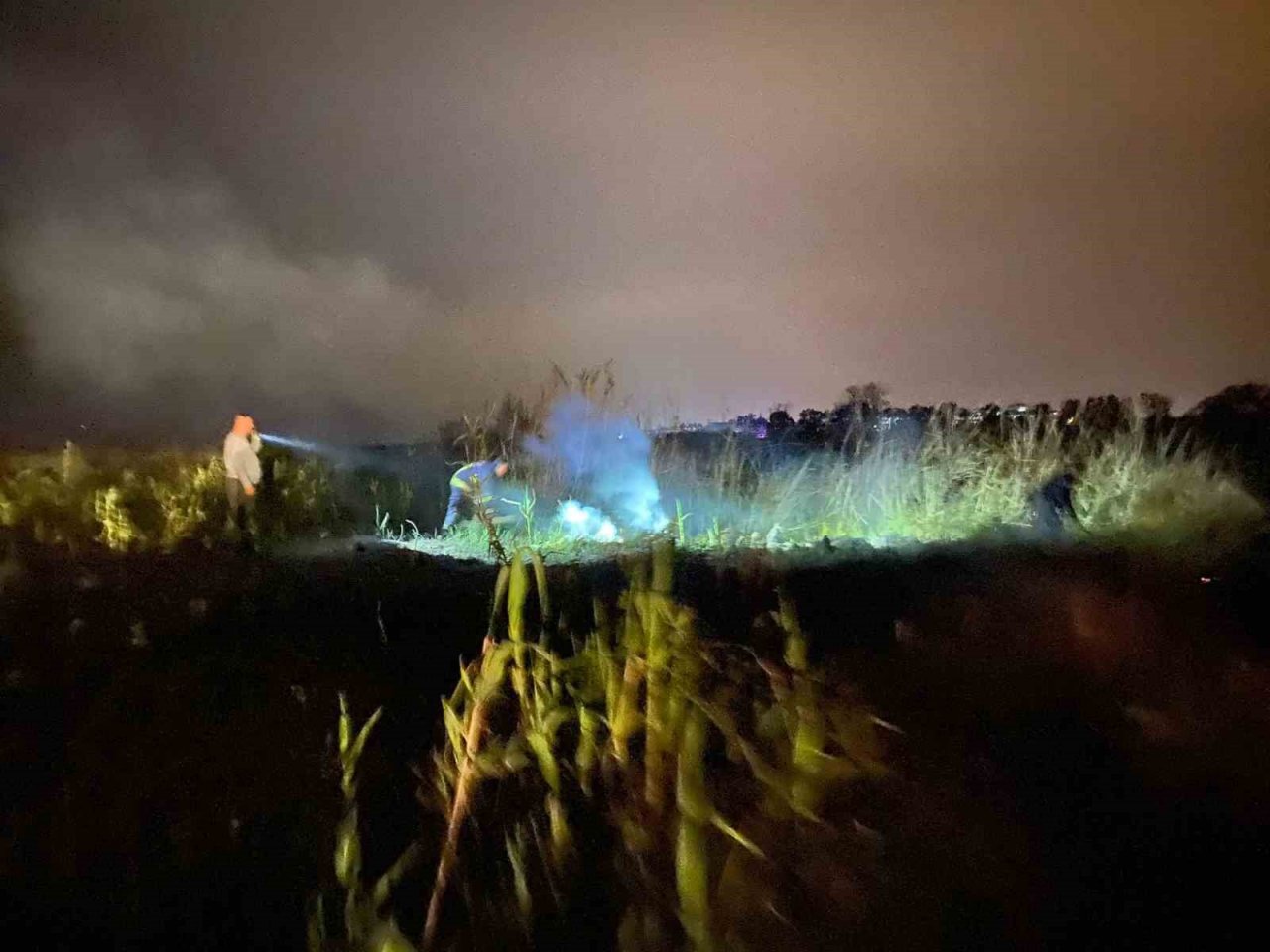 Sazlık alanda çıkan yangın korkuttu