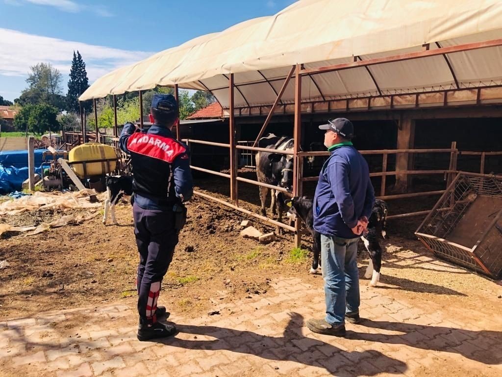 Çiftçiler hayvan hırsızlığına karşı uyarıldı