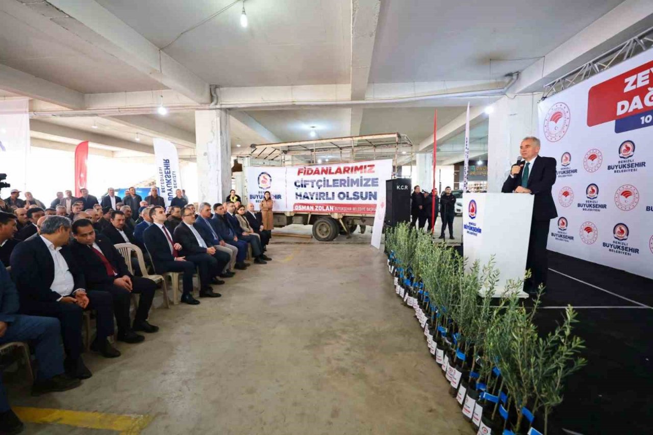 40 bin zeytin fidanı atıl tarım arazileriyle buluşacak