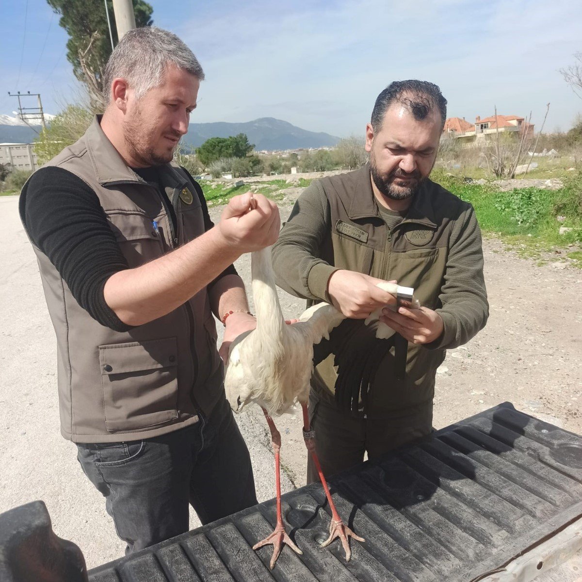 Tedavisi tamamlanan leylek özgürlüğe uçtu